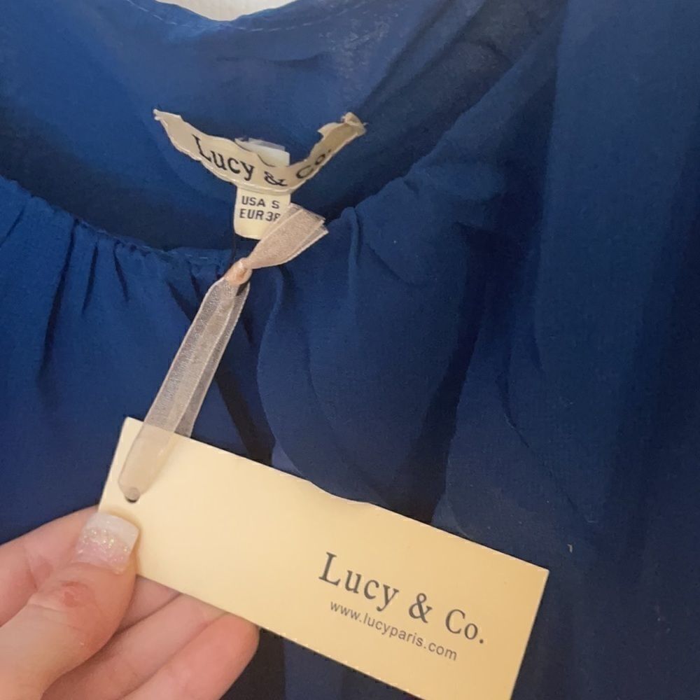 Lucy Paris  Chiffon Sequin Mini Dress Blue Small - Picture 3 of 9
